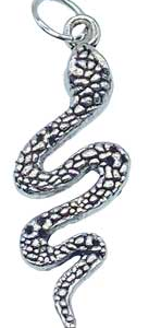 1 1/2 in. Snake amulet