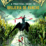 Mexican Sorcery by Laura Davila