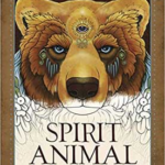 Spirit Animal coloring book by Ravynne Phelan's