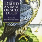 Druid Animal oracle deck by Carr-Gomm & Carr-Gomm