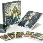 WildWood Tarot deck & book by Ryan & Matthews
