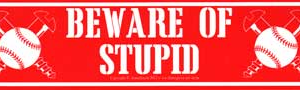 Beware of Stupid  11 1/2 in. x 3 in.