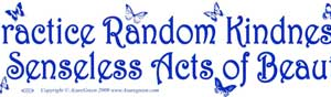 Practice Random Kindness & Senseless Acts of Beauty bumper sticker