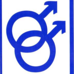 Male/Male bumper sticker