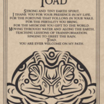 Toad Blessing poster