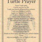Turtle Prayer poster