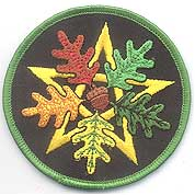 Oak Leaf Pentagram iron-on patch 3 in.