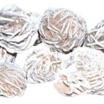 1 lb Desert Rose