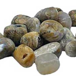 1 lb Agate, Dendritic tumbled