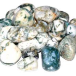 1 lb Agate, Tree tumbled stones