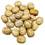 1 lb Coral, Fossil tumbled