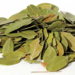 Bearberry mexican whole 1oz (Uva Ursi)