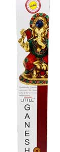 Ganesh stick 15 pack