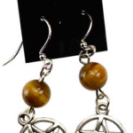 Tiger's Eye Pentagram earrings