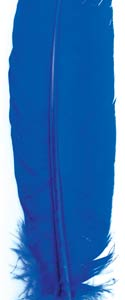 (set of 10) Blue feather 12 in.