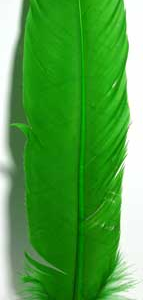 (set of 10) Green feather 12 in.