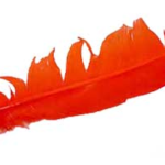 Orange feather 12 in.