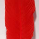 (set of 10) Red feather 12 in.