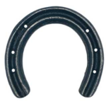 Good Luck Horseshoe