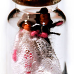 Wedding Binding Dolls spellbottle