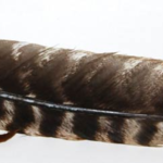 Leather Wrapped smudging feather 12 in.