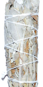 California White Sage smudge stick 3 in.