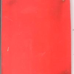 Red Velveteen Bag