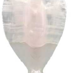 6 in. Angel Calcite, Pink